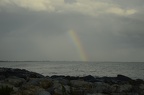 _DSC0041.NEF