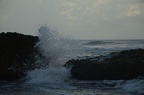 _DSC0100.NEF