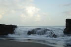 _DSC0113.NEF