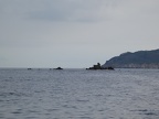 P1040889.RW2